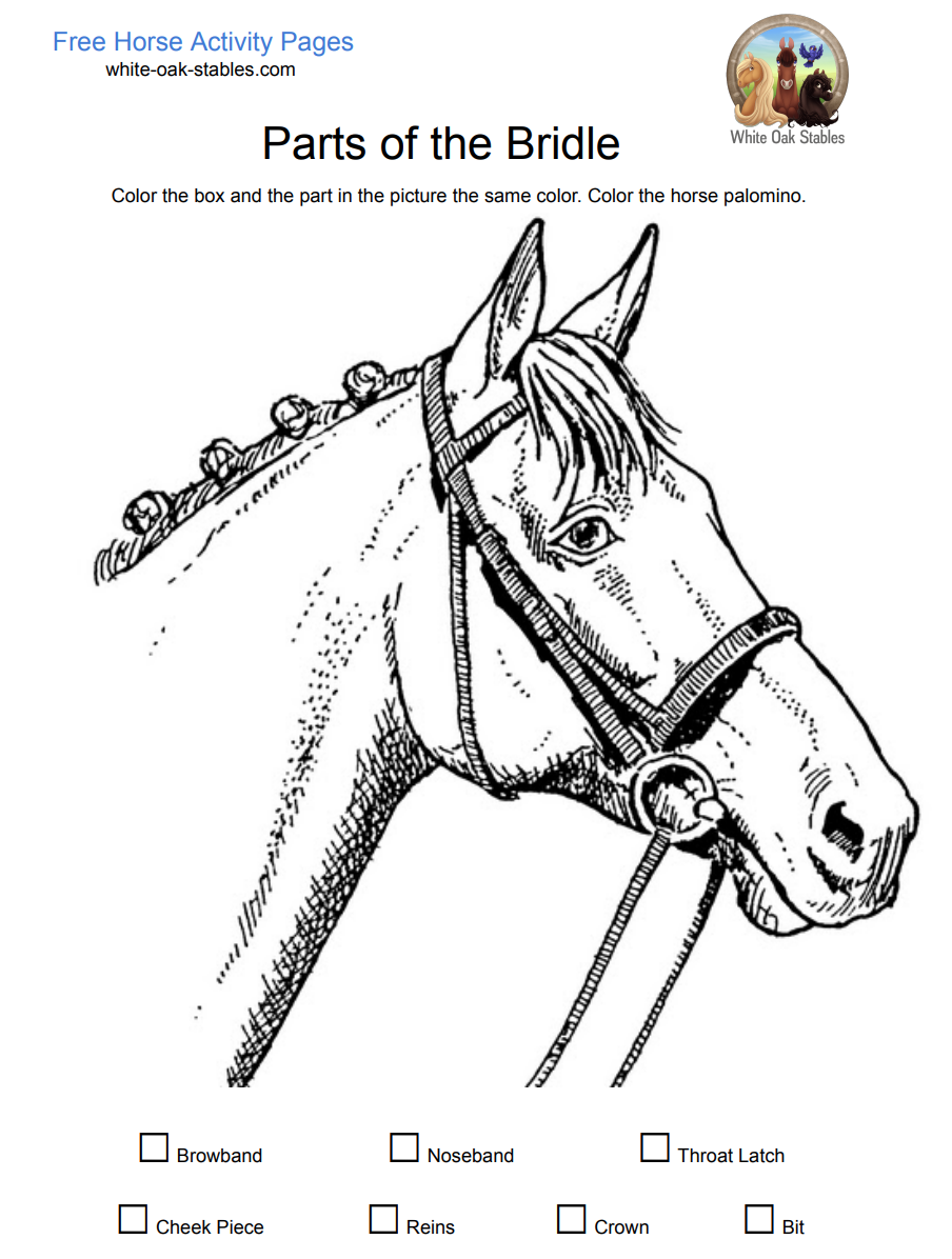 Download Categories » Activity Pages  White Oak Stables With Parts Of The Horse Worksheet