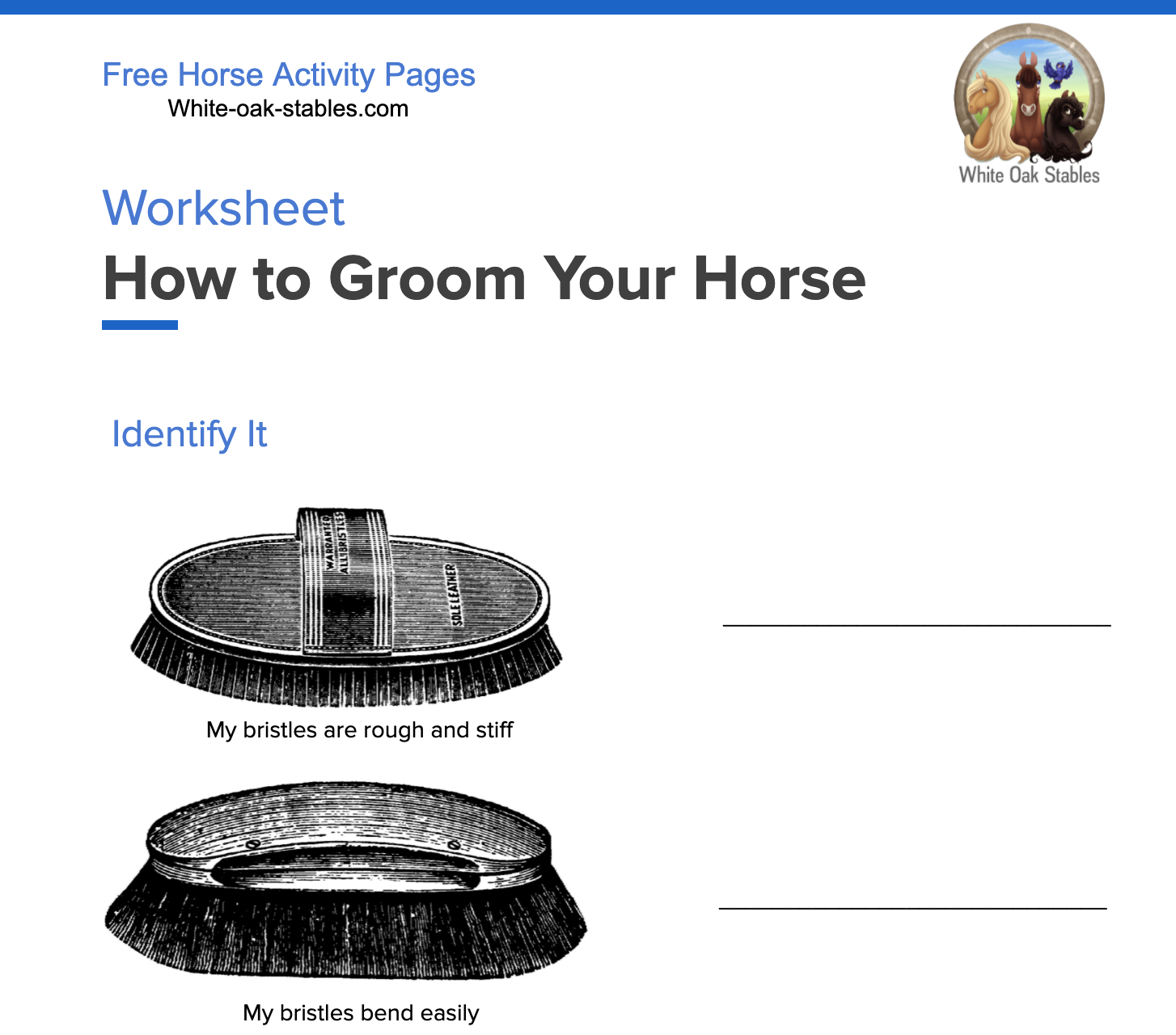 » How to Groom Your Horse – Identify It | White Oak Stables