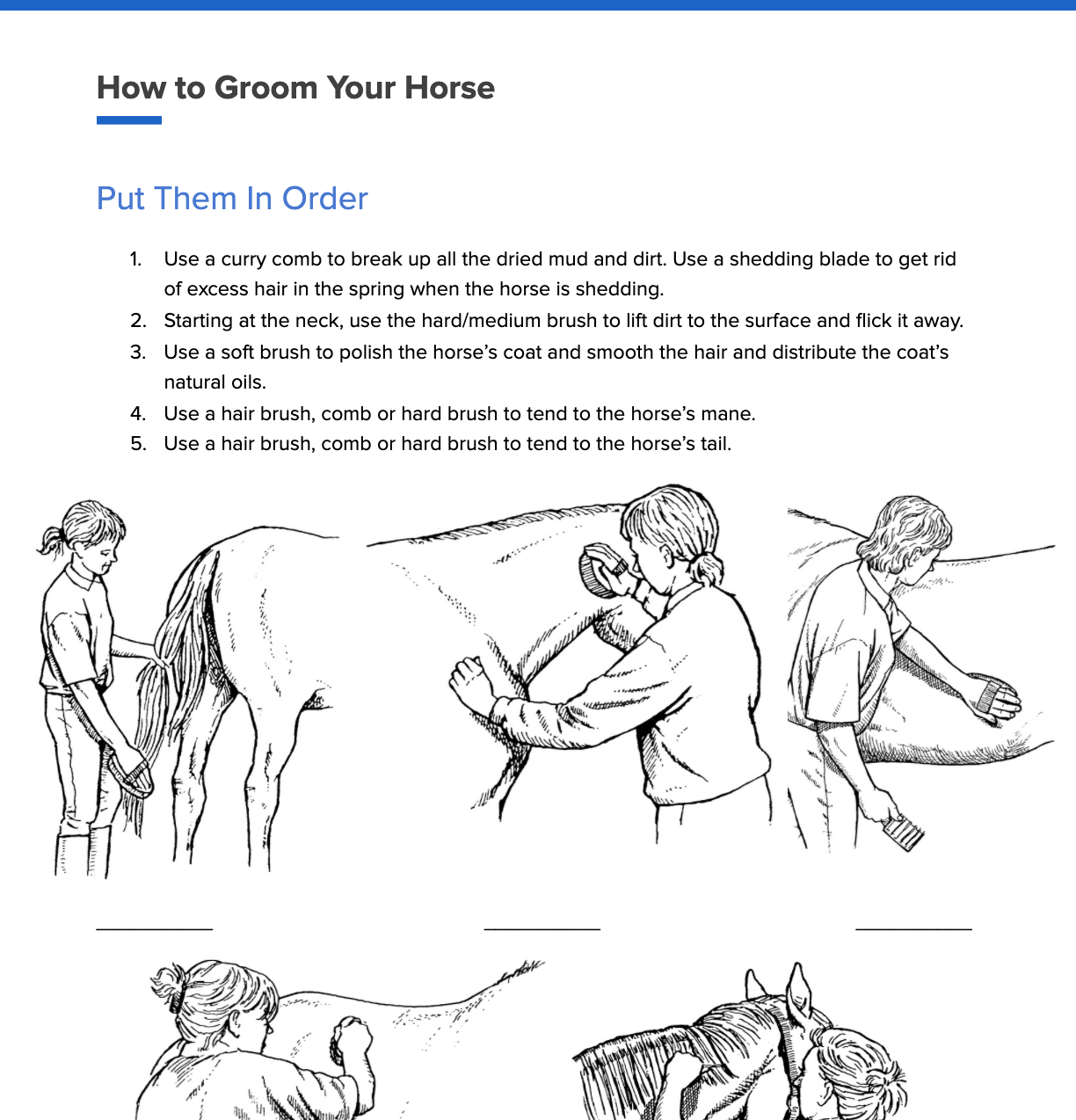 Worksheet – How to Groom Your Horse