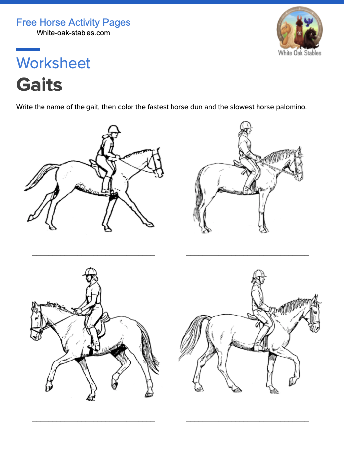 Worksheet – Gaits of the Horse