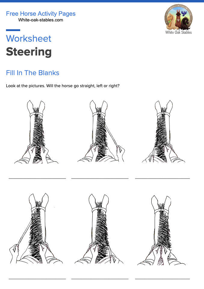 Worksheet – Steering