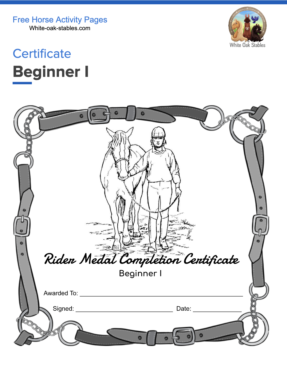 Completion Certificate – Beginner I