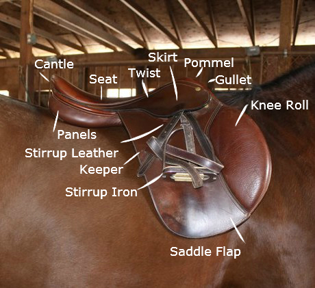 Parts of the Saddle