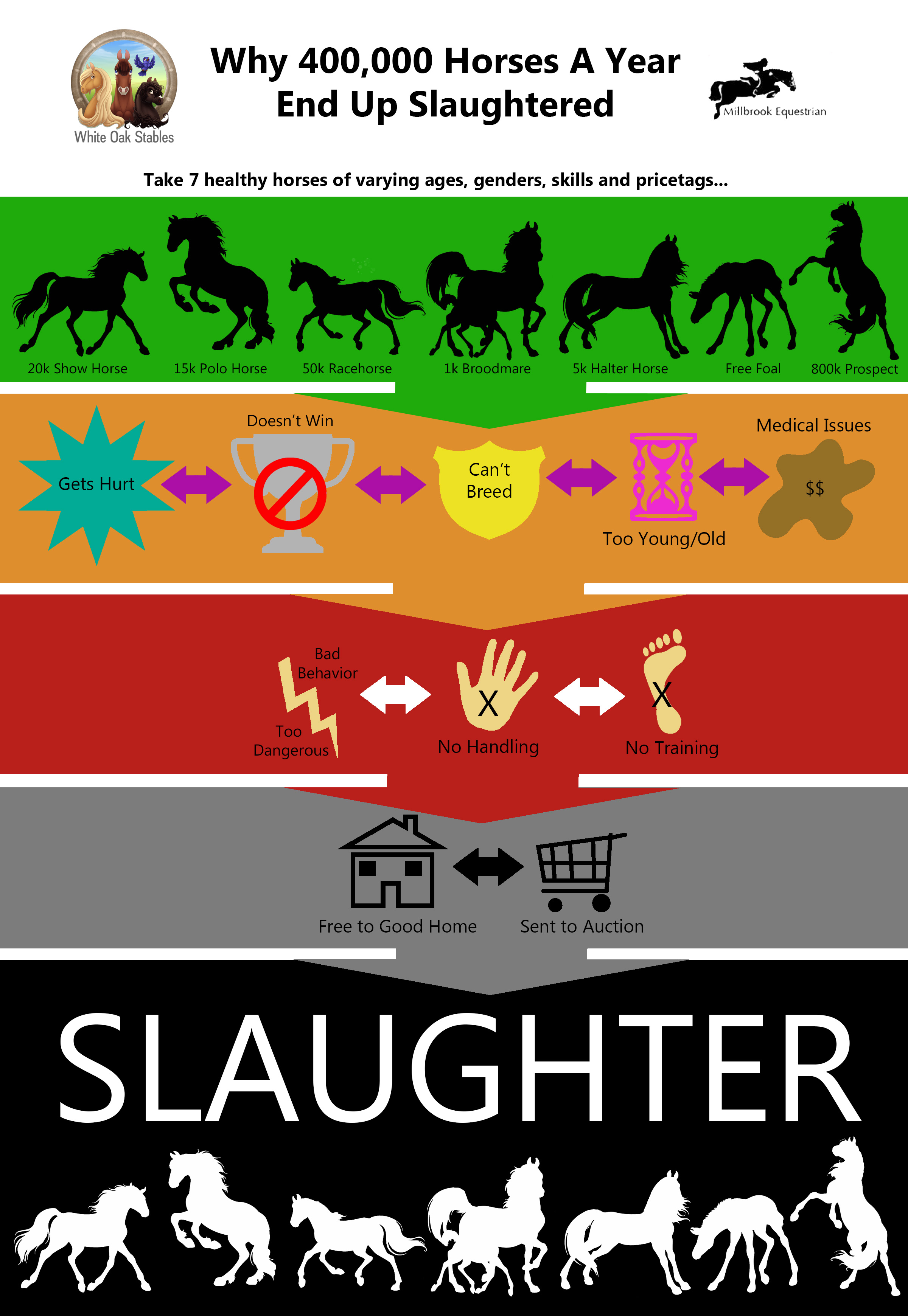 Why Horses Go To Slaughter