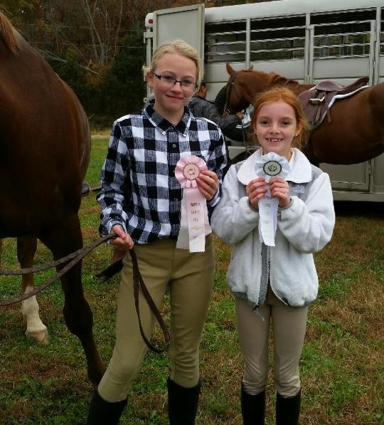 Southern Heritage Horse Show