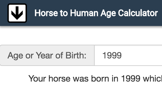 Horse Age in Human Years