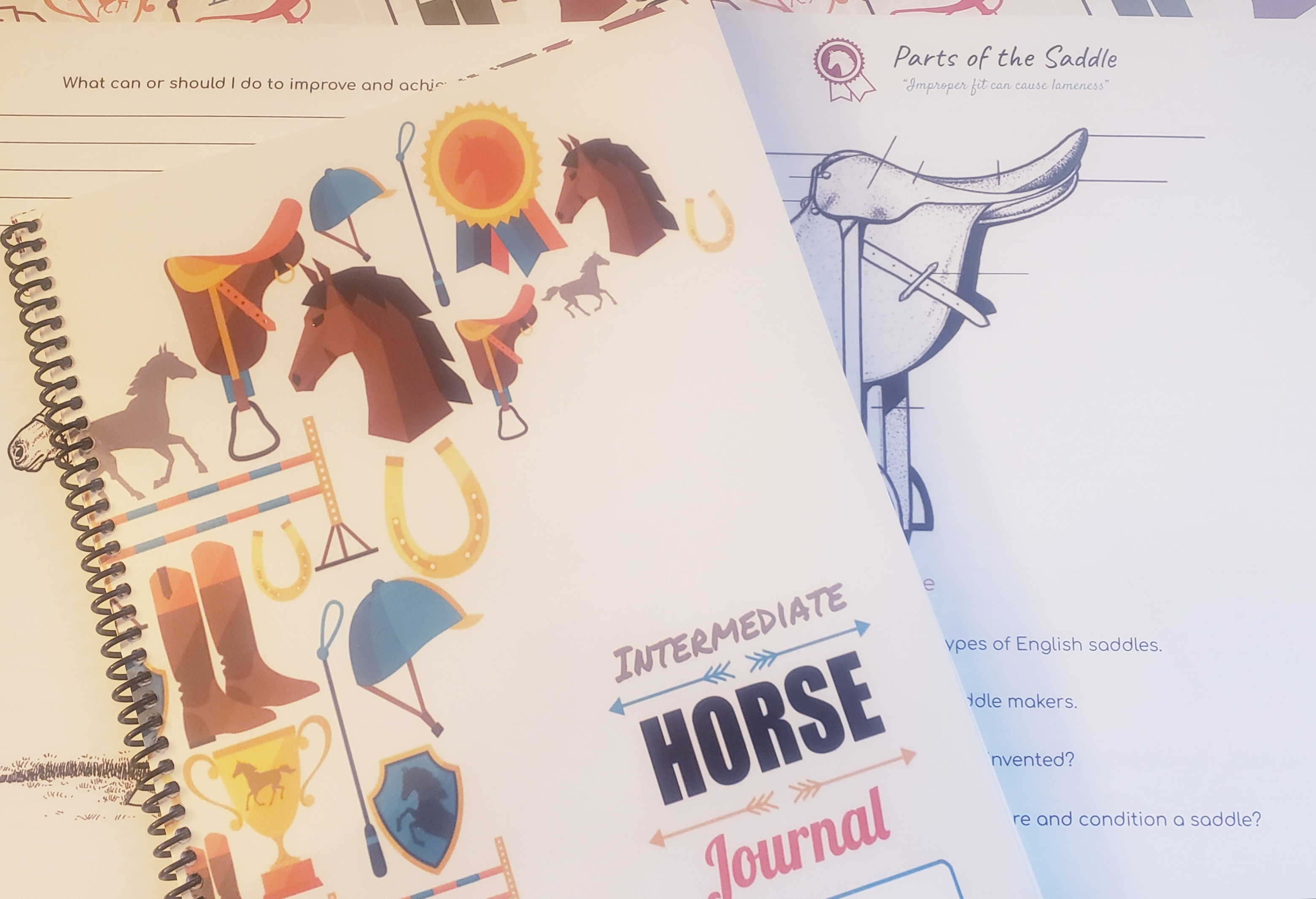 Intermediate Horse Journal Coloring Book