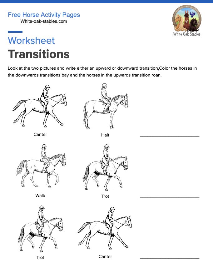 Transitions – Worksheet