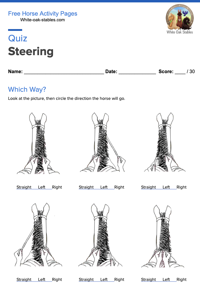 Quiz – Steering