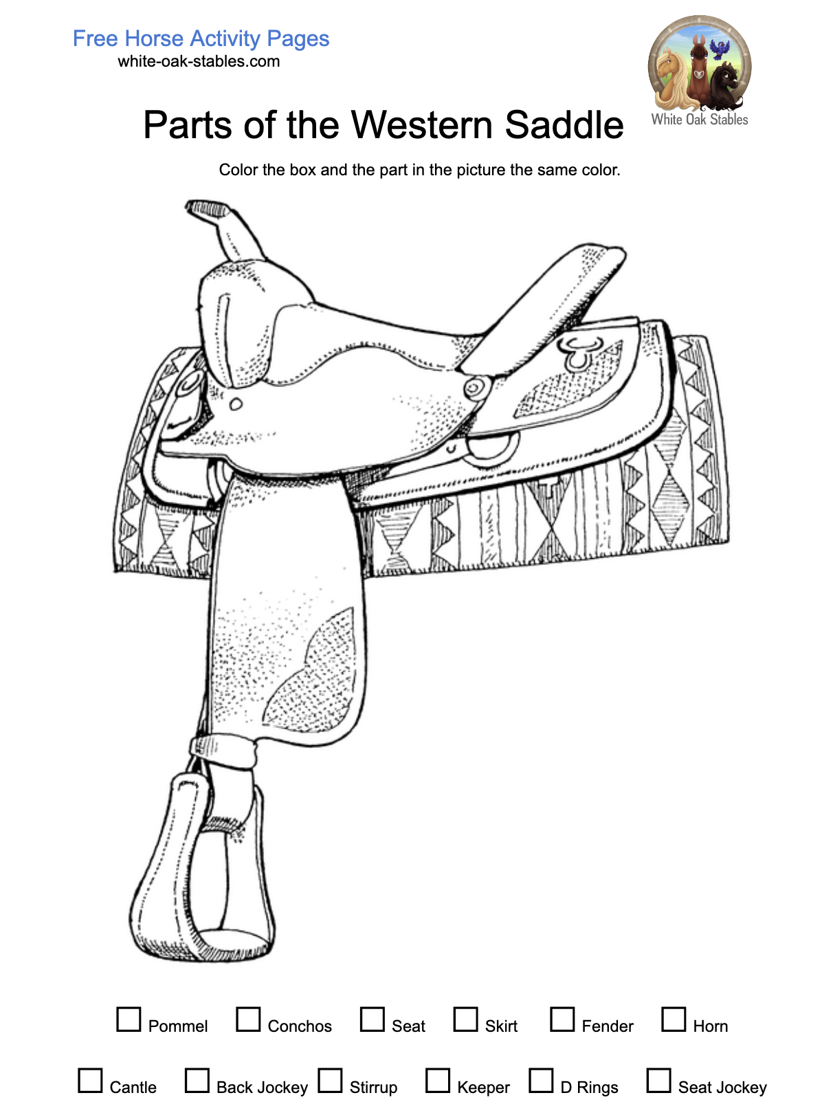 Color the Western Saddle