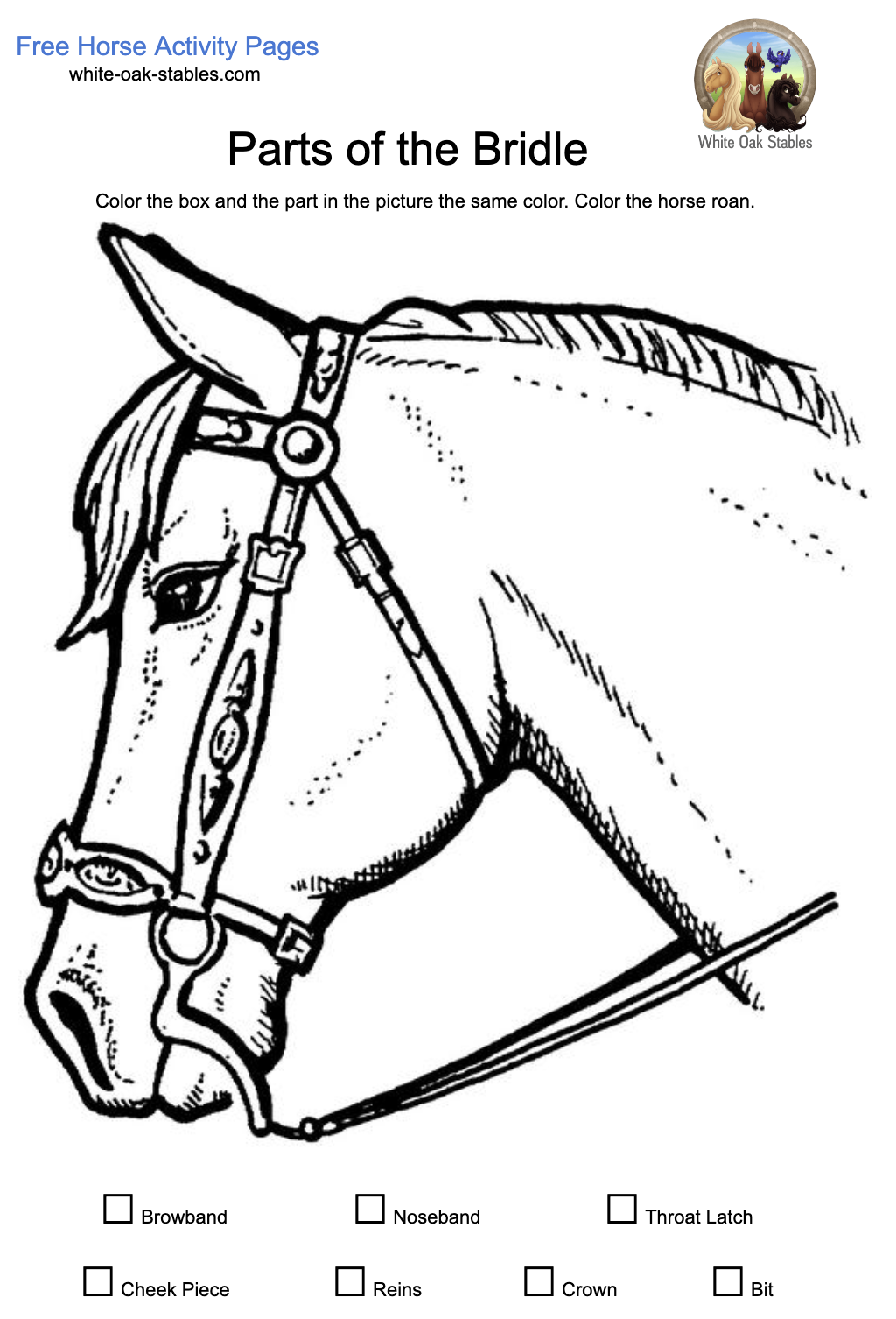 Color the Western Bridle