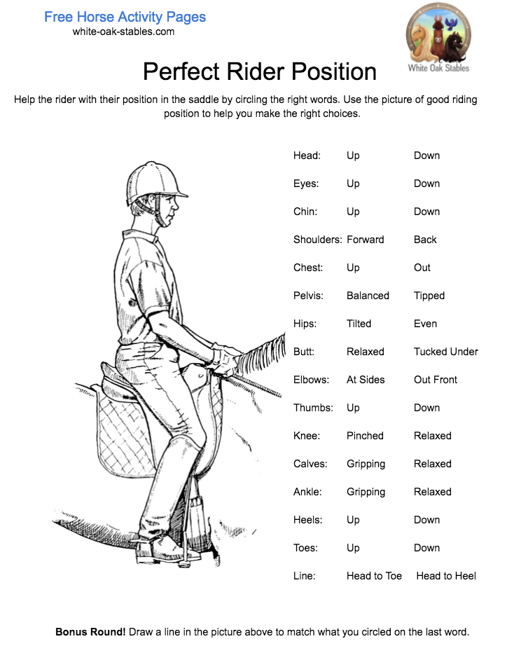 Perfect Rider Position – Activity Page