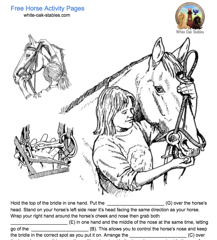 How To Put on a Bridle Fill In The Blanks – Activity Page