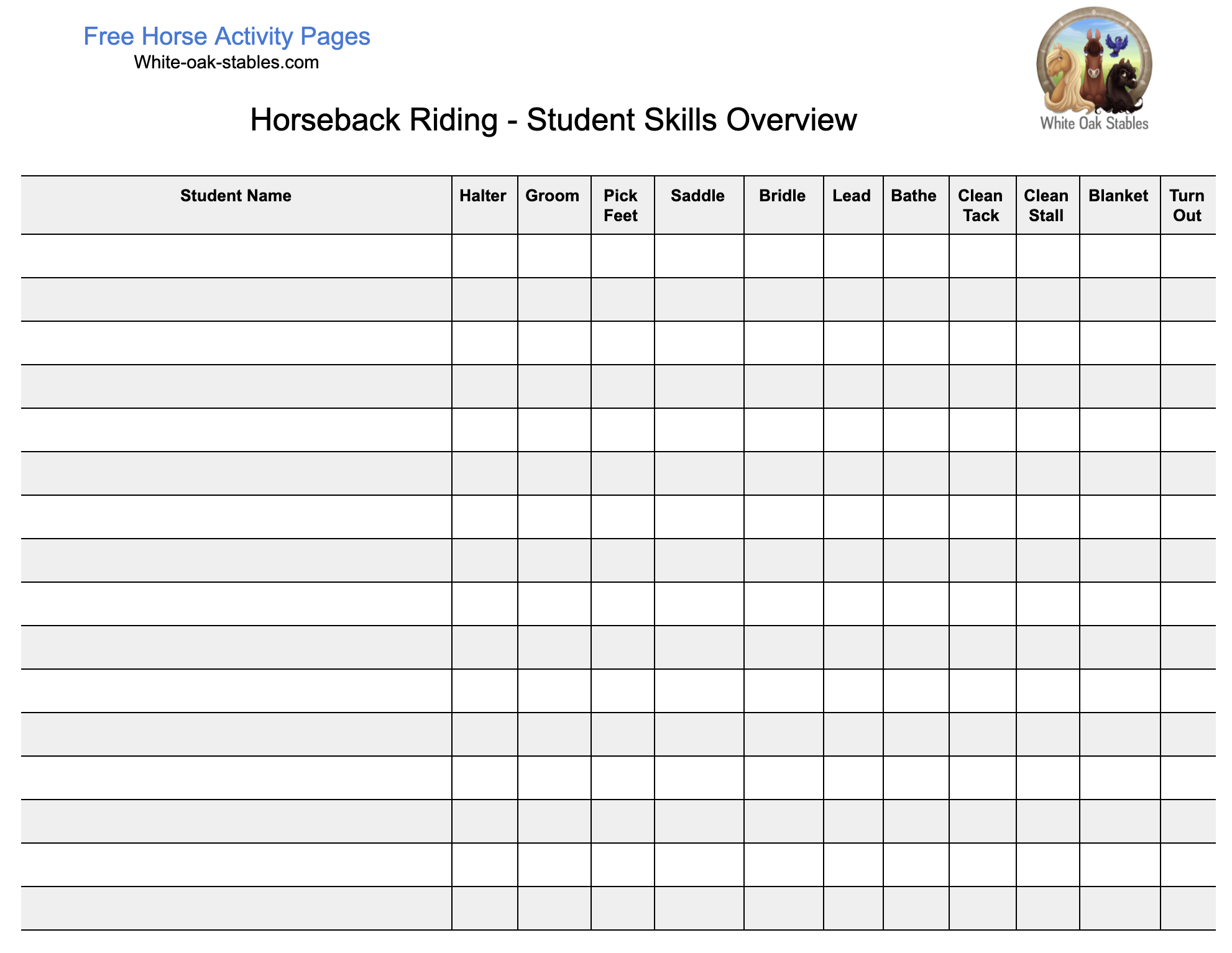 Student Horseback Riding Lesson Program Overview Record