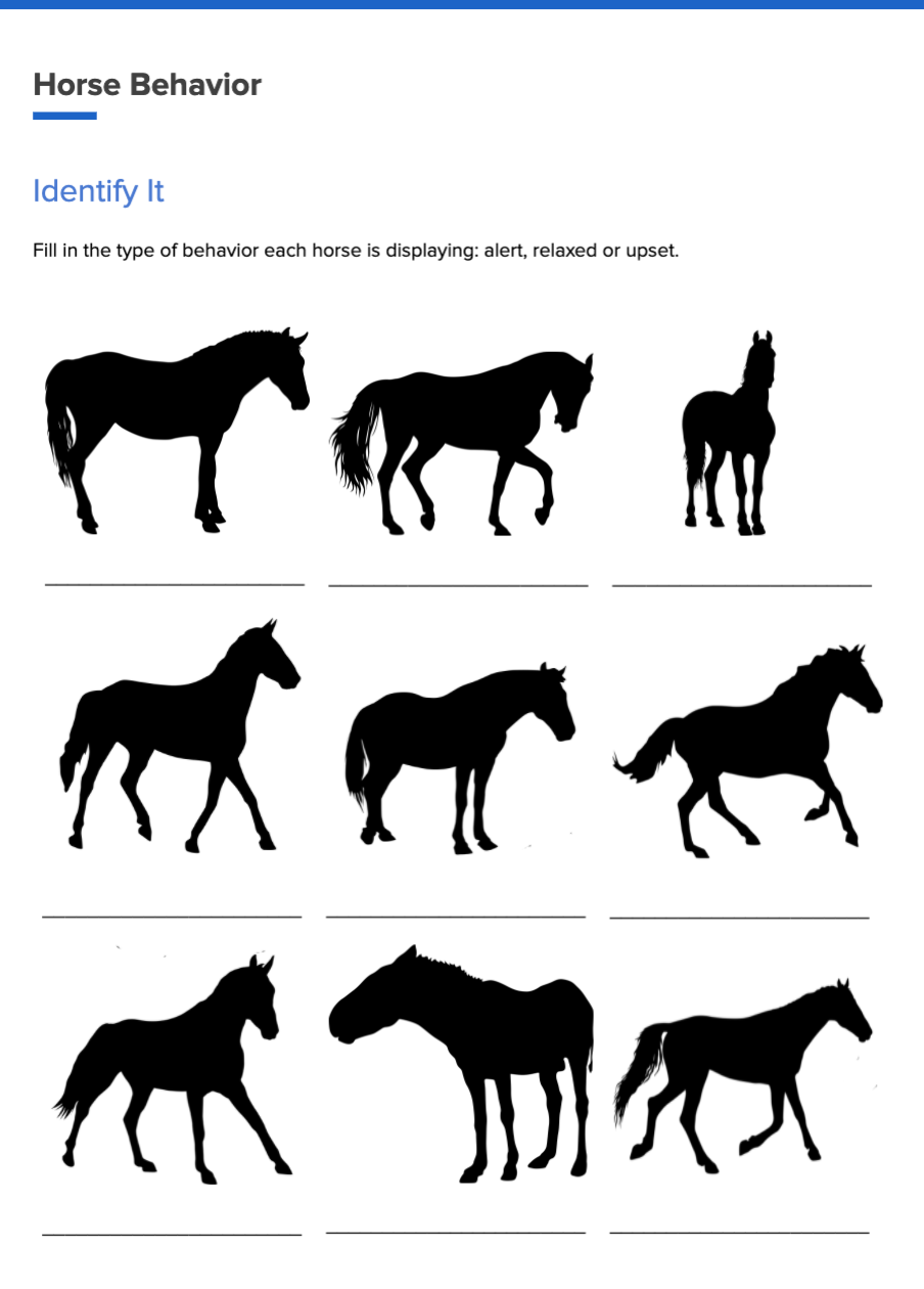 Worksheet – Horse Behavior