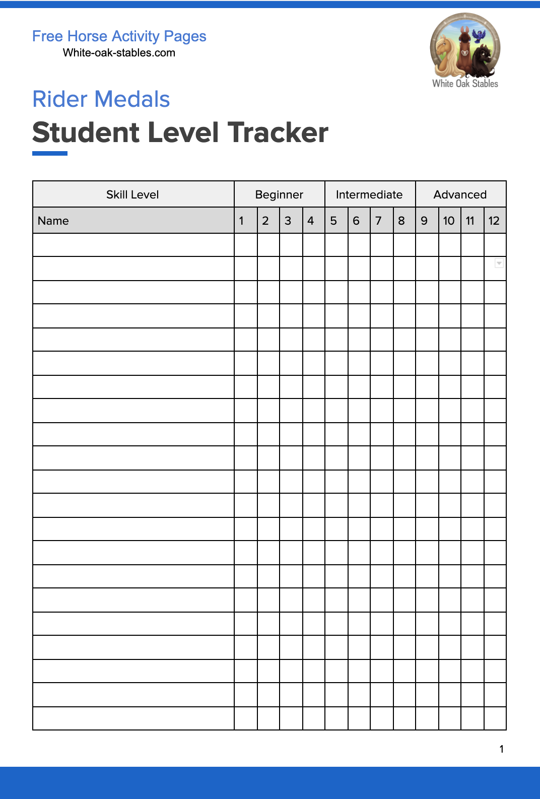 Rider Medals – Student Level Tracker