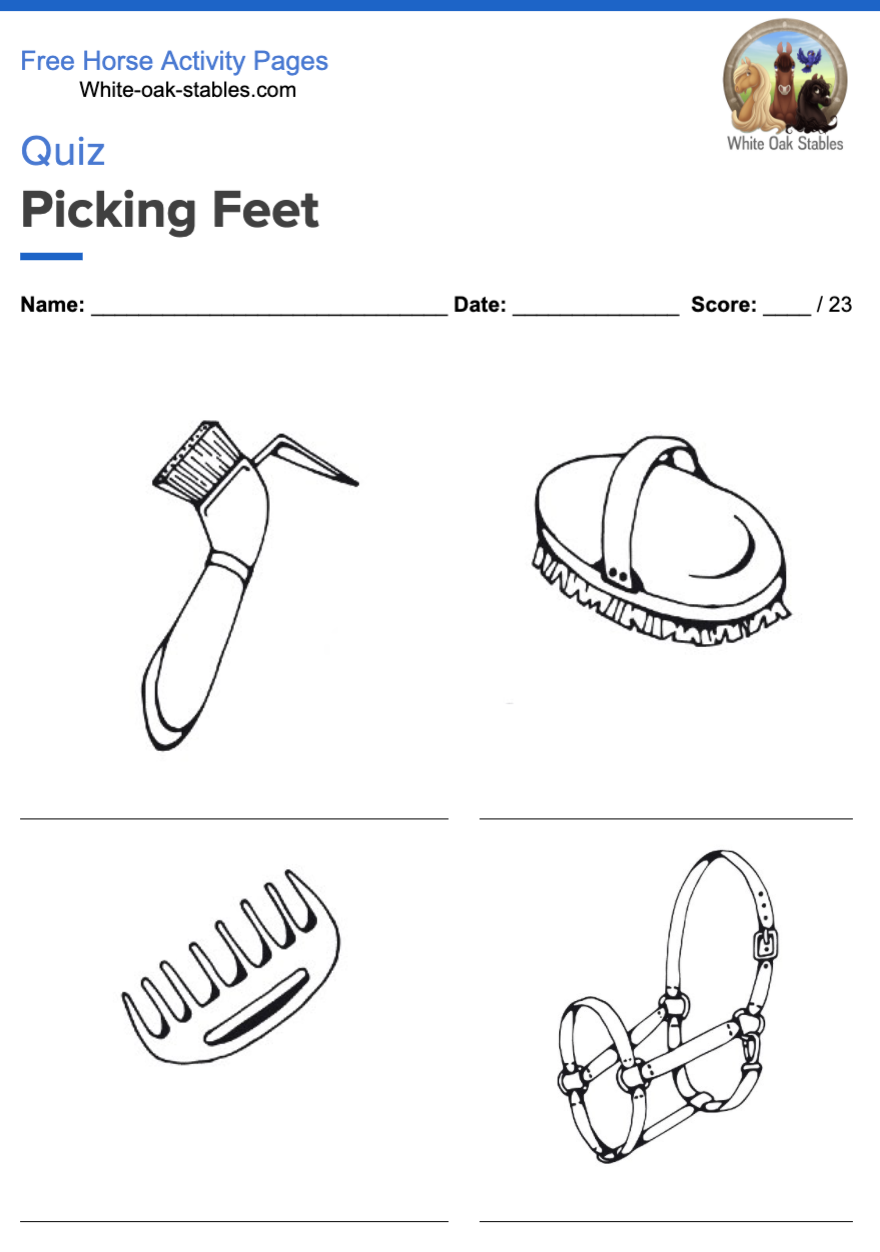 Quiz – Picking Feet