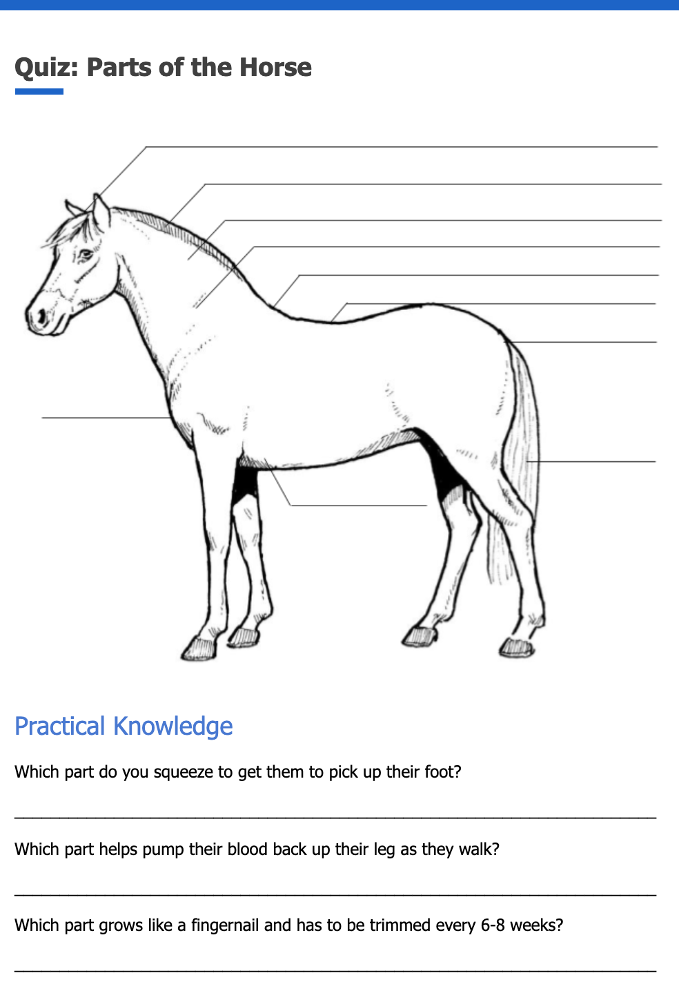 Quiz – Parts of the Horse