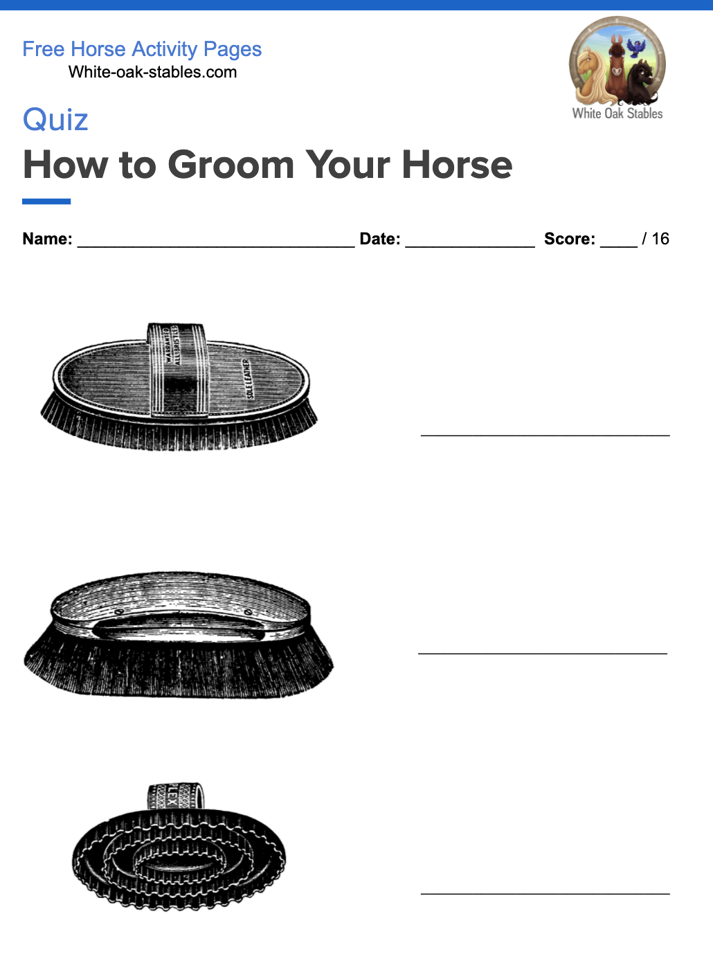 Quiz – How to Groom Your Horse
