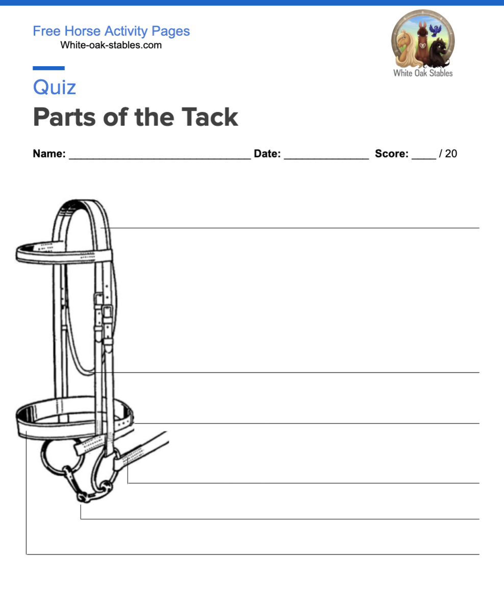 Quiz – Parts of the Tack