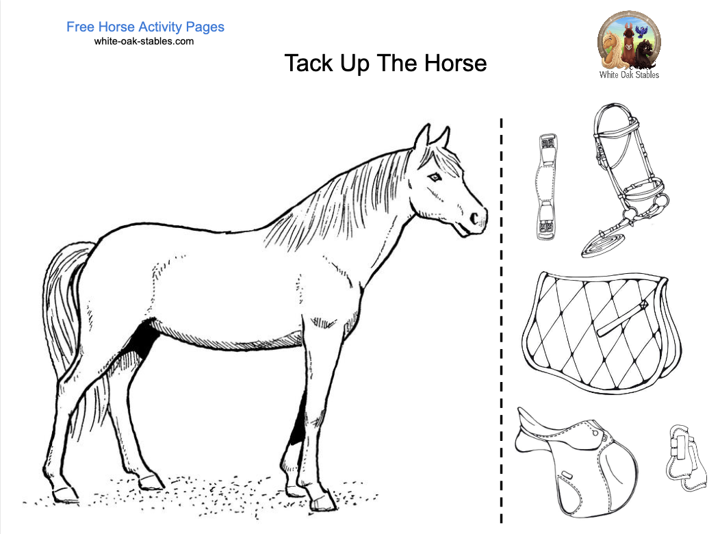 Tack Up The Horse – Activity Page