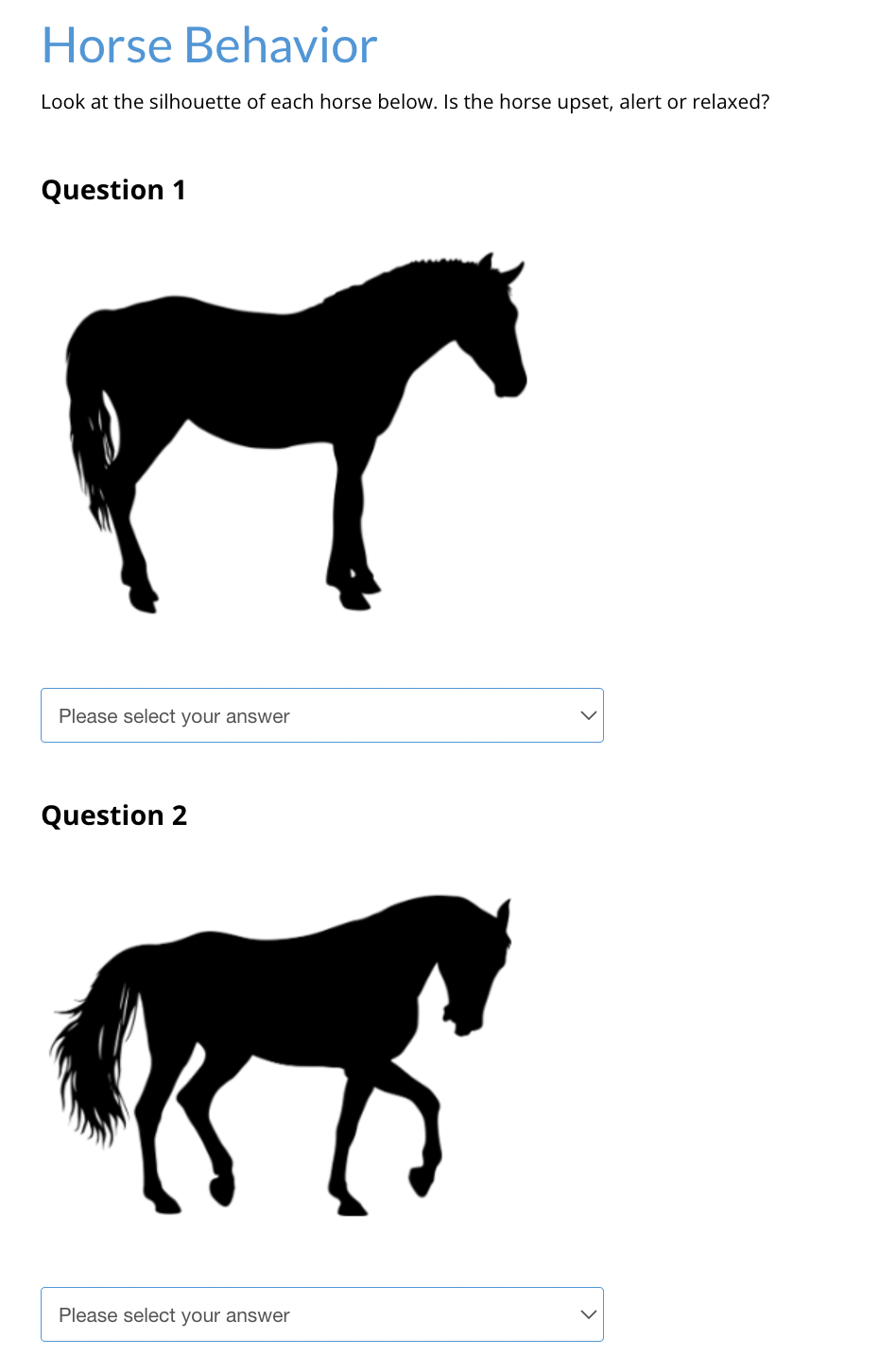 Online Quiz – Horse Behavior